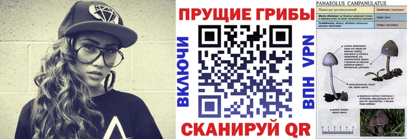 Галлюциногенные грибы Psilocybine cubensis Нижняя Тура